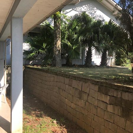 Casa No Meio Da Natureza! Apartament Bento Gonçalves Zewnętrze zdjęcie